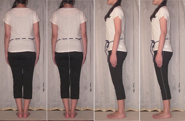 姿勢の解析細線化処理