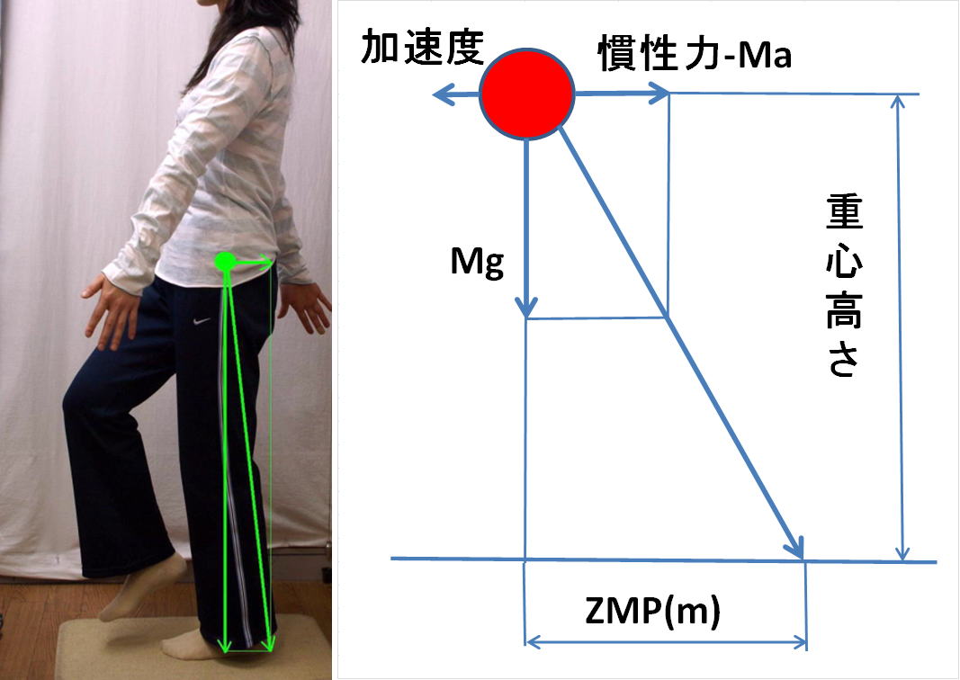 ゼロモーメントポイントの 測定