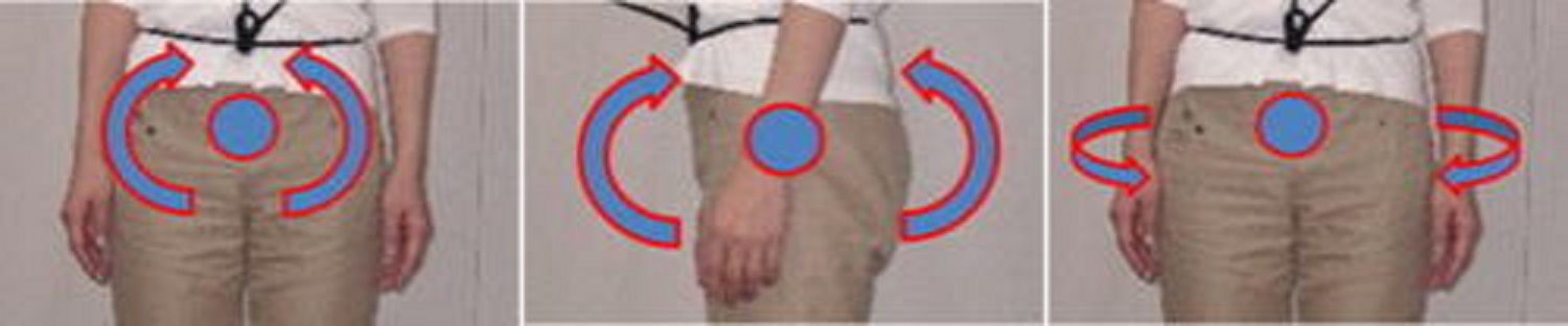 骨盤の複雑な動作を測定解析