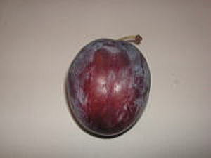 頂いたプルーン