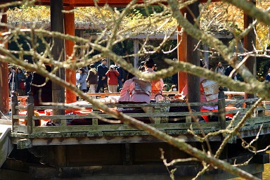 成田公園梅まつり